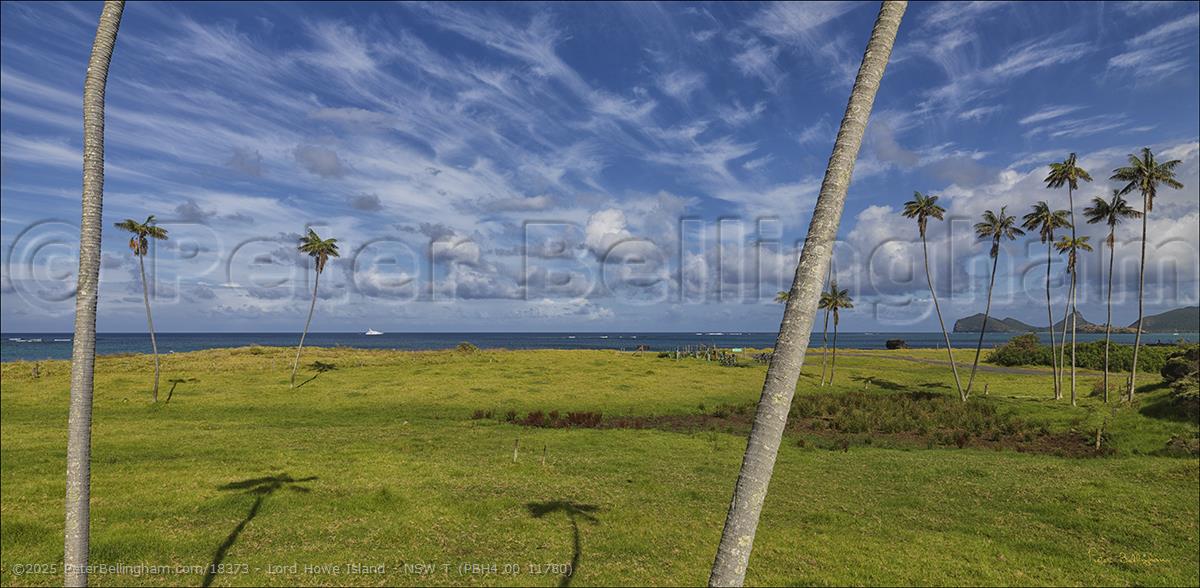 Peter Bellingham Photography Lord Howe Island - NSW T (PBH4 00 11780)